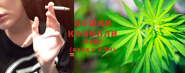 индика Белоозёрский