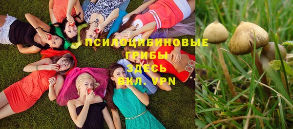 синтетический гашиш Белокуриха