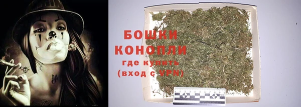 индика Белоозёрский
