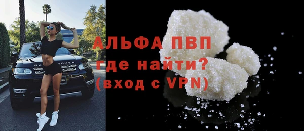 индика Белоозёрский