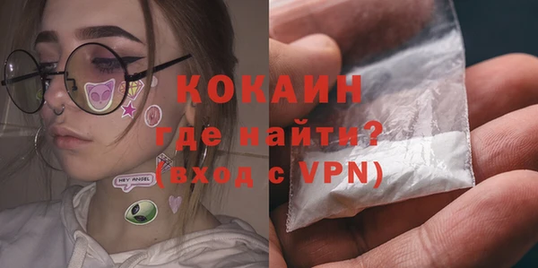 индика Белоозёрский