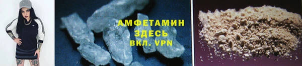 индика Белоозёрский