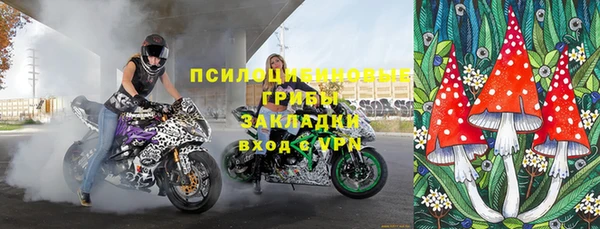 индика Белоозёрский