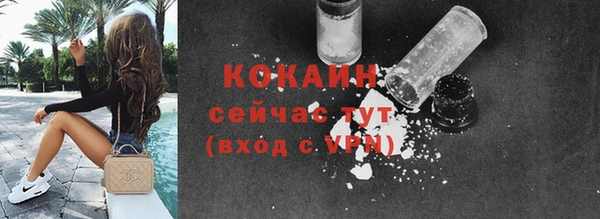 индика Белоозёрский